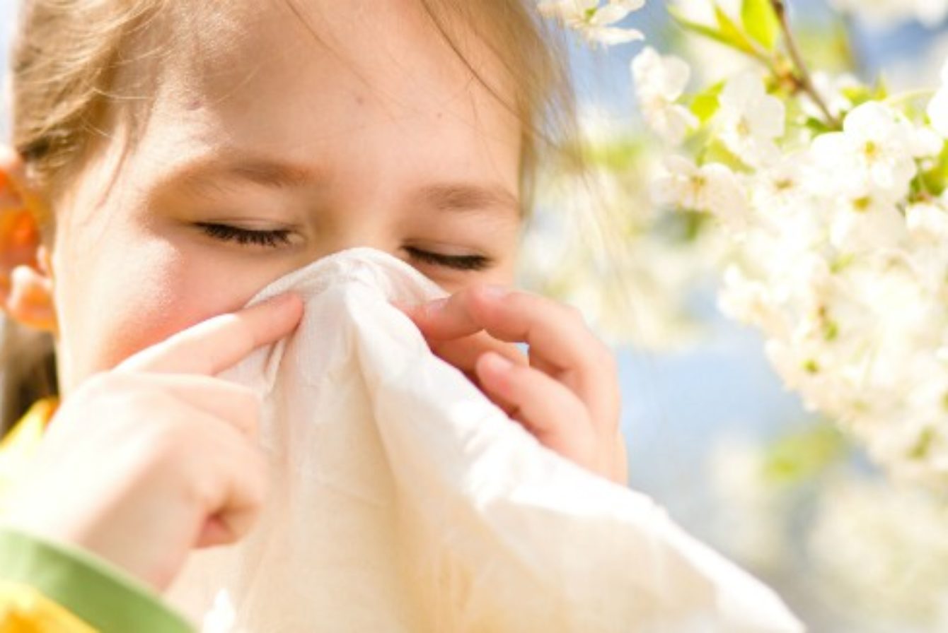 Summer Allergies in San Antonio Champion Home Services